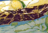 «Цитрусовые», акрил, 40 x 50 см., 1987 г. 